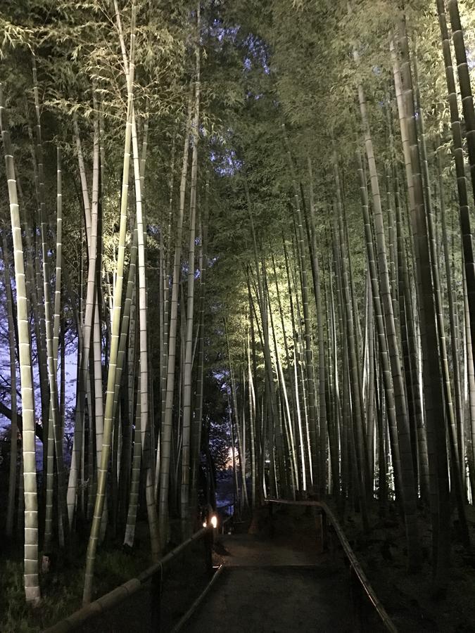 Sakuraya-Inn Osaka Buitenkant foto